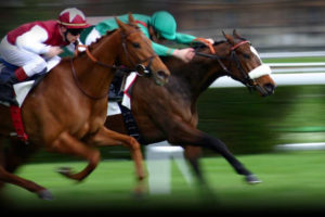 longshots in horse racing