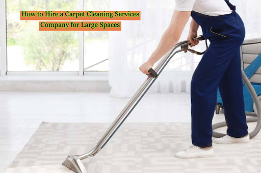 Carpet Cleaning